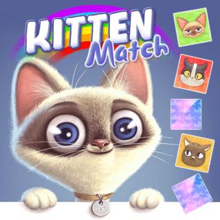 Kedi yavrusu maç