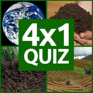 4x1 Resim Yarışması