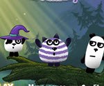 3 Panda Macerası