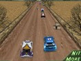 3D Ralli Heyecanı