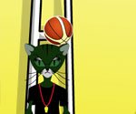 Basketbolcu Kedi 