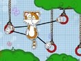 Cambaz Kedi