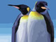 Cambaz penguenler
