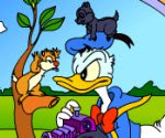 Donald Duck Boyama
