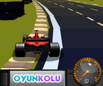 F1 Yarış