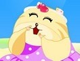 Hamster Giydir