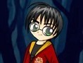Harry Potter Giydir