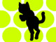 Kara Kedi