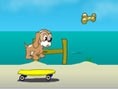 Kaykaycı Köpek 2
