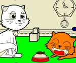 Kedi Boyama