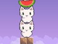 Kedi Kedi Karpuz