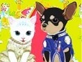 Kedi ve Köpek Modası