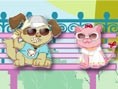 Kitten ve Puppy