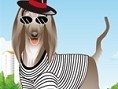 Köpekleri Giydir