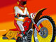 Motocross Yarışları