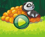Panda ve Portakal