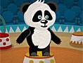 Pandaya Özgürlük