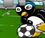 Penguen Maçı