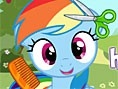 Pony Berberde