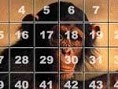Puzzle Monkey