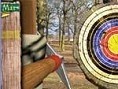 Robin Hood Okcu