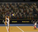 Tavşan Voleybolu