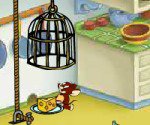 Tom ve Jerry Plan