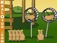 Uçan hamster 3