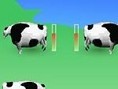 Udder Madness