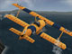 Yetenekli Pilot