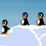 Penguen Ateş