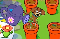 Çiçekçi Dora