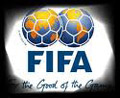 Fifa Dünya Kupası 2010